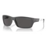 GAFAS DE SOL ARNETTE FRAMBUESA AN4336 284187