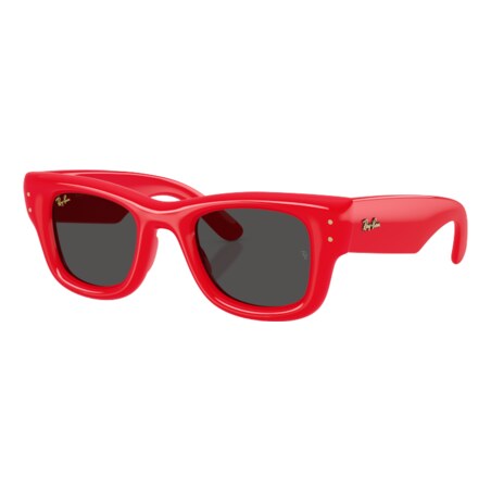 GAFAS DE SOL RAYBAN WAYFARER PUFFER ASAP ROCKY 4940