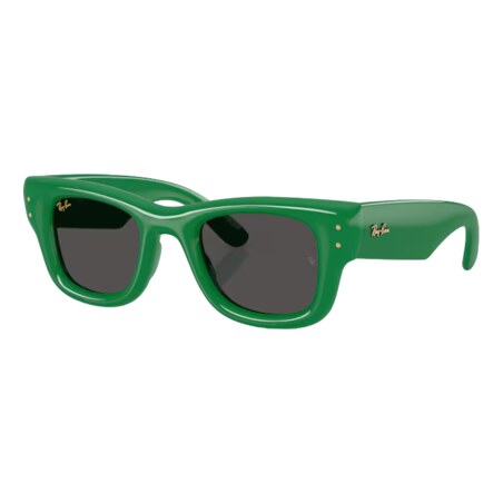 GAFAS DE SOL RAYBAN WAYFARER PUFFER ASAP ROCKY 4940