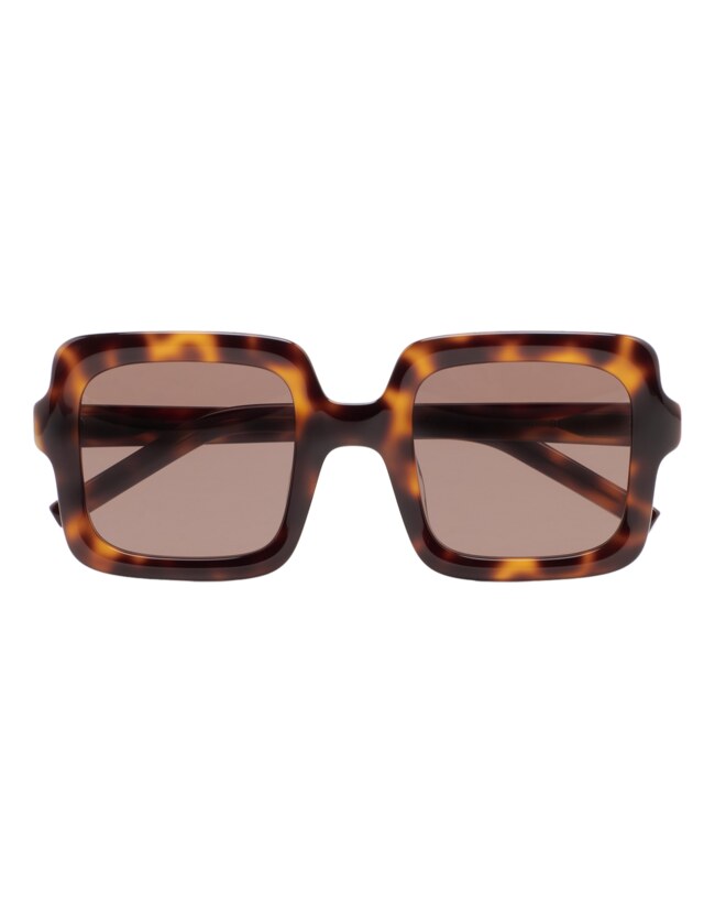 GAFAS DE SOL KALEOS DEIST - MARRÓN HABANA