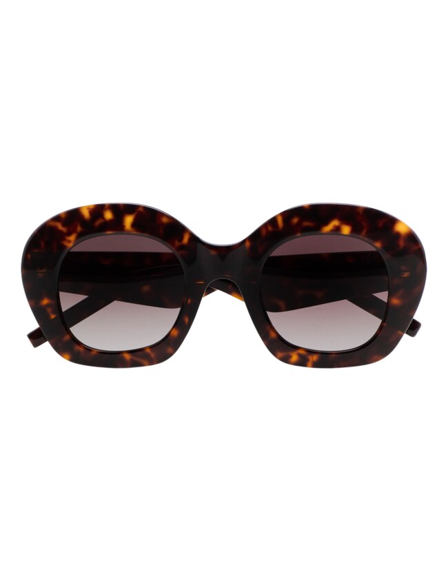 GAFAS DE SOL KALEOS DAVIES - MARRÓN HABANA OSCURO
