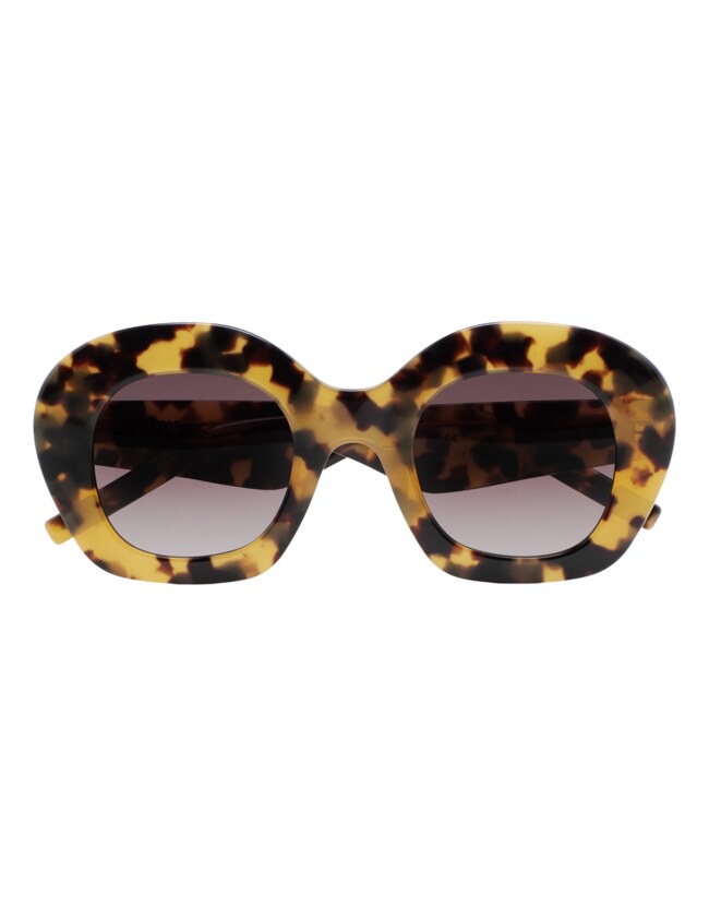 GAFAS DE SOL KALEOS DAVIES - MARRÓN HABANA