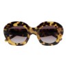 GAFAS DE SOL KALEOS DAVIES - MARRÓN HABANA