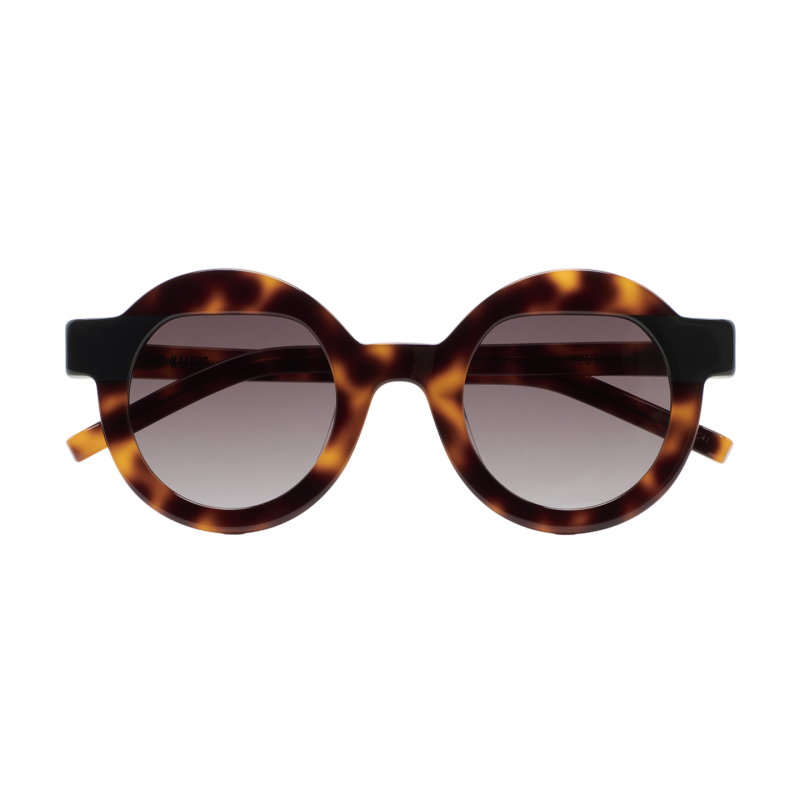 GAFAS DE SOL KALEOS POLLITT II - MARRÓN HABANA