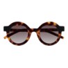 GAFAS DE SOL KALEOS POLLITT II - MARRÓN HABANA