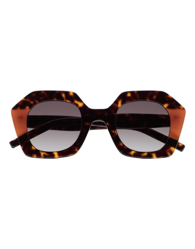GAFAS DE SOL KALEOS PAVICIC - MARRÓN HABANA