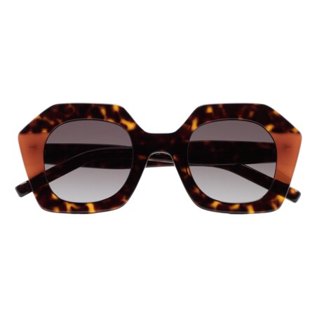 GAFAS DE SOL KALEOS PAVICIC - MARRÓN HABANA