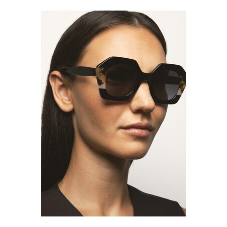 GAFAS DE SOL KALEOS PAVICIC - MARRÓN HABANA