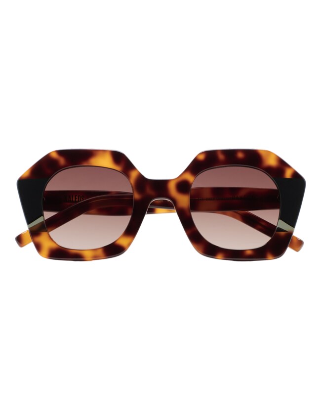GAFAS DE SOL KALEOS PAVICIC - MARRÓN HABANA OSCURO