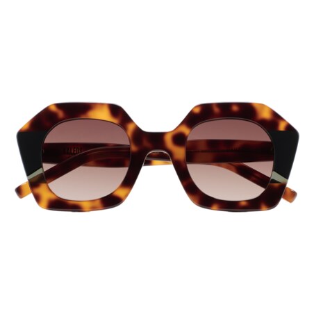 GAFAS DE SOL KALEOS PAVICIC - MARRÓN HABANA OSCURO