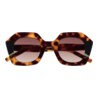 GAFAS DE SOL KALEOS PAVICIC - MARRÓN HABANA OSCURO