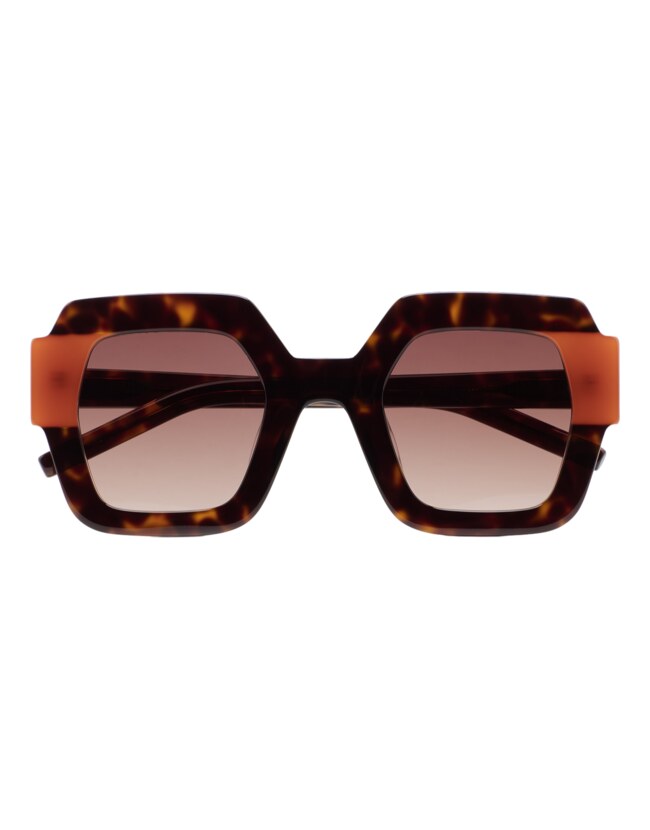 GAFAS DE SOL KALEOS LUPOLI - MARRÓN HABANA OSCURO