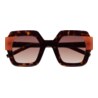 GAFAS DE SOL KALEOS LUPOLI - MARRÓN HABANA OSCURO