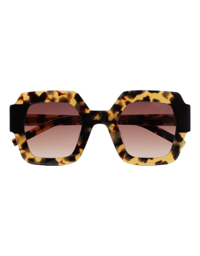 GAFAS DE SOL KALEOS LUPOLI - MARRÓN HABANA