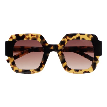 GAFAS DE SOL KALEOS LUPOLI - MARRÓN HABANA