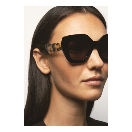 GAFAS DE SOL KALEOS HALSEY - MARRÓN HABANA