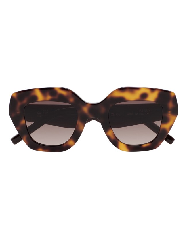 GAFAS DE SOL KALEOS HALSEY - MARRÓN HABANA OSCURO