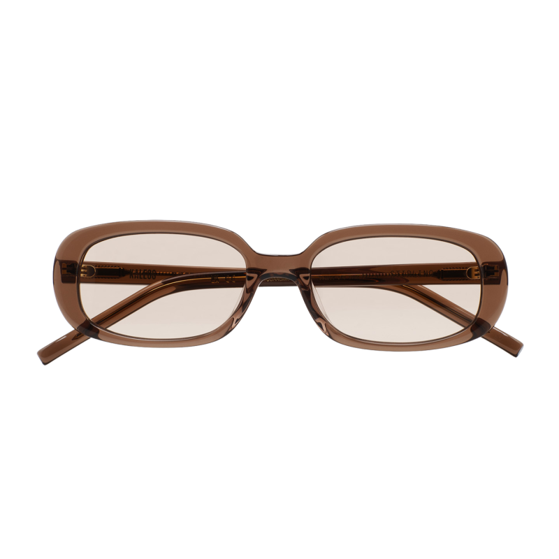 GAFAS DE SOL KALEOS STIRLING - MARRÓN TRANSPARENTE