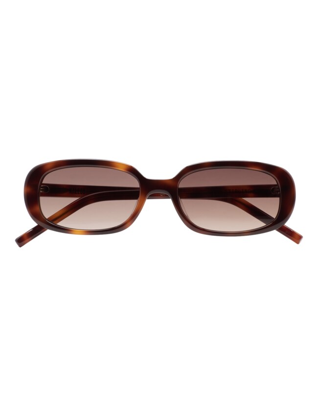 GAFAS DE SOL KALEOS STIRLING - MARRÓN HABANA OSCURO