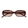 GAFAS DE SOL KALEOS STIRLING - MARRÓN HABANA OSCURO