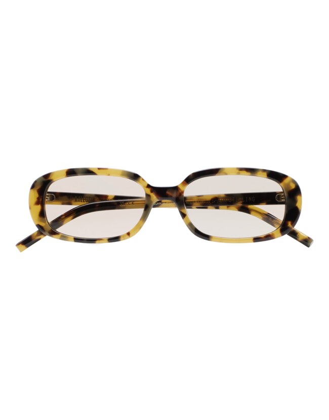 GAFAS DE SOL KALEOS STIRLING - MARRÓN HABANA