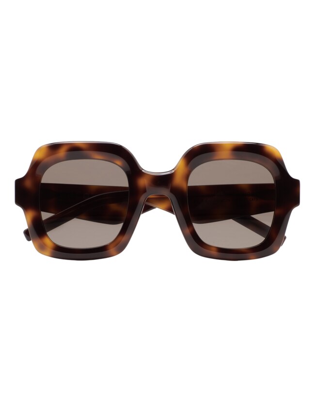 GAFAS DE SOL KALEOS HARWOOD - MARRÓN HABANA