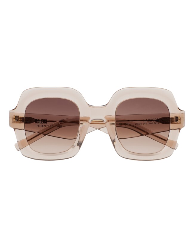 GAFAS DE SOL KALEOS HARWOOD - ROSA TRANSPARENTE