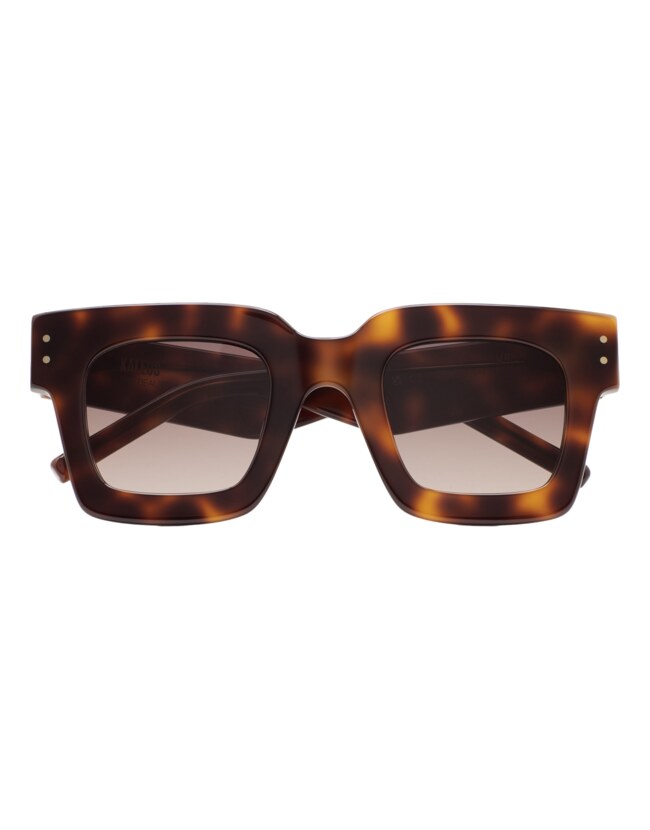 GAFAS DE SOL KALEOS WREN - MARRÓN HABANA OSCURO