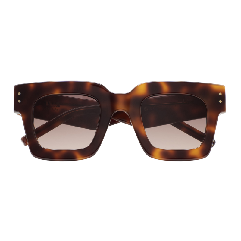 GAFAS DE SOL KALEOS WREN - MARRÓN HABANA OSCURO