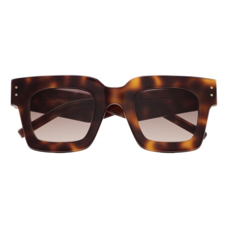 GAFAS DE SOL KALEOS WREN - MARRÓN HABANA OSCURO
