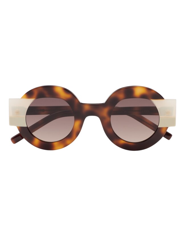 GAFAS DE SOL KALEOS CLARK - MARRÓN HABANA