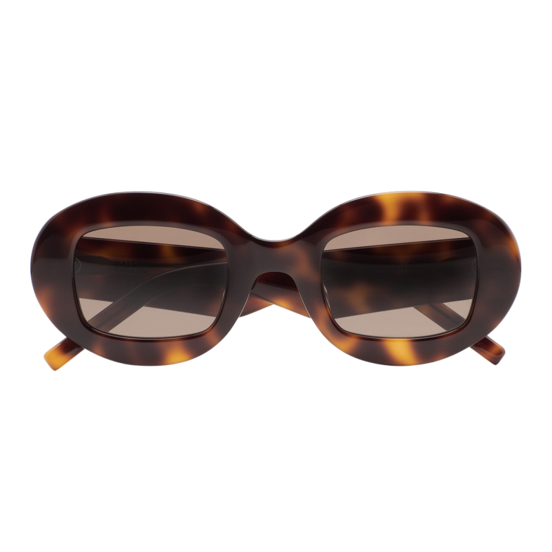 GAFAS DE SOL KALEOS CARLSON - MARRÓN HABANA