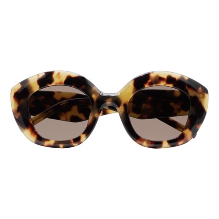GAFAS DE SOL KALEOS KUTTNER - MARRÓN HABANA