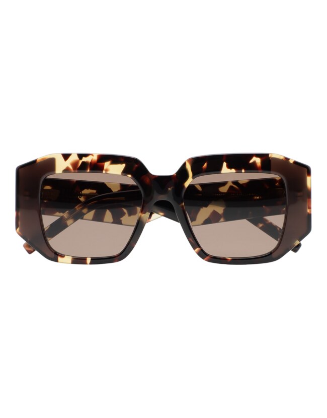 GAFAS DE SOL KALEOS ALBRIGHT - MARRÓN HABANA