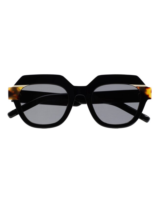 GAFAS DE SOL KALEOS ELLISON - MARRÓN HABANA
