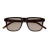 GAFAS DE SOL KALEOS FREEMAN - MARRÓN HABANA OSCURO