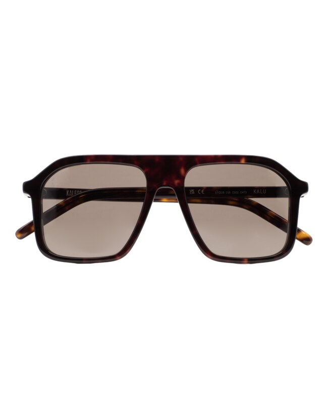 GAFAS DE SOL KALEOS KALU - MARRÓN HABANA OSCURO