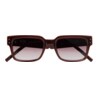 GAFAS DE SOL KALEOS POHL - MARRÓN