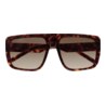 GAFAS DE SOL KALEOS BENDER - MARRÓN HABANA