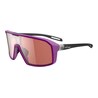 GAFAS DEPORTIVAS EVIL EYE ROADSENSE E037 4000